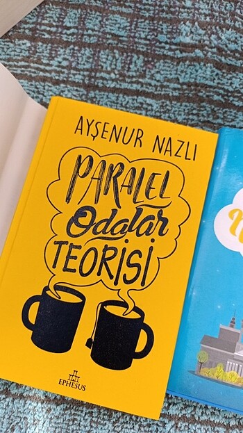 Beden Renk paralel odalar teorisi set