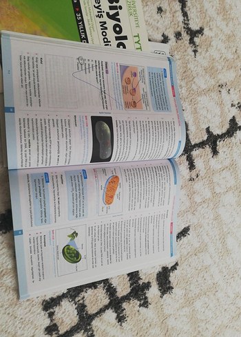 Beden Renk TYT Biyoloji Ders İşleyiş Modülleri Seti