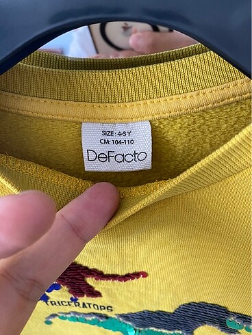 4 Yaş Beden altın Renk DEFACTO Erkek Çocuk Sweatshirt