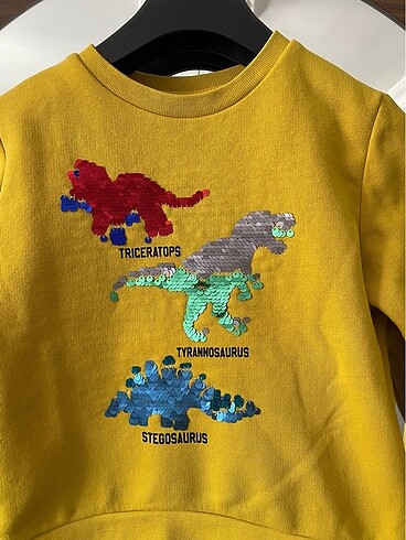 Defacto DEFACTO Erkek Çocuk Sweatshirt