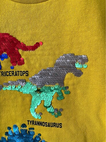 4 Yaş Beden DEFACTO Erkek Çocuk Sweatshirt
