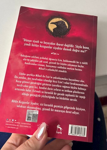 Bütün Kuzgunlar Siyahtır - Gülsen Kılıçaslan - Görsel 3