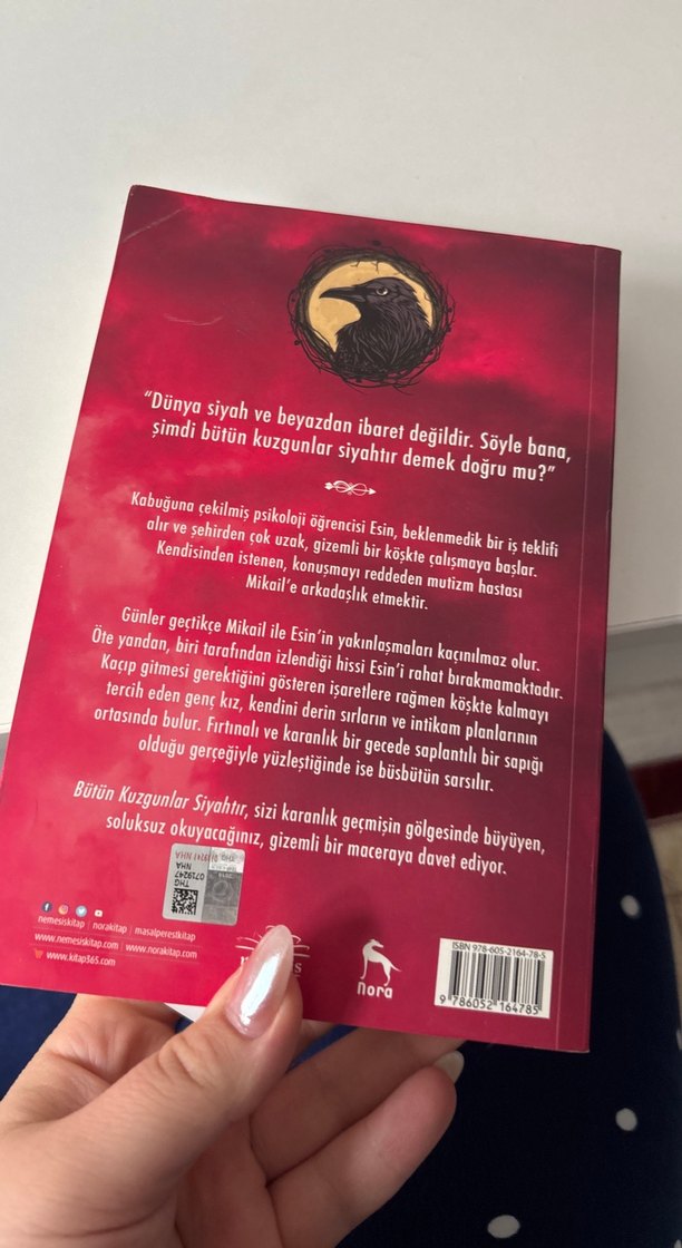 Bütün Kuzgunlar Siyahtır - Gülsen Kılıçaslan - Görsel 3