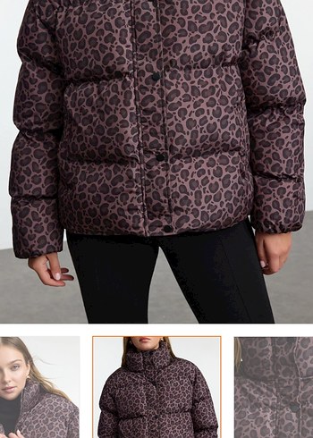 leopar Mont
