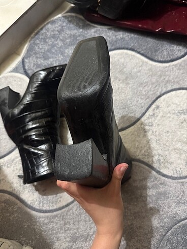 Mango zebra desen bot
