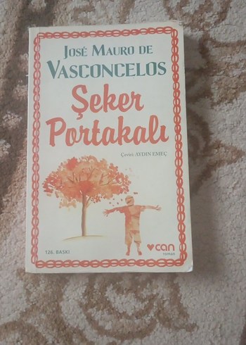 Şeker Portakalı Romanı - José Mauro de Vasconcelos - Görsel 2