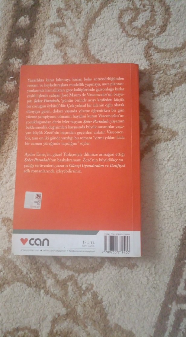 Şeker Portakalı Romanı - José Mauro de Vasconcelos - Görsel 3