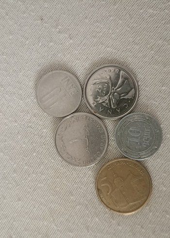 Vintage Erkek Rozeti Gri Tonlarda