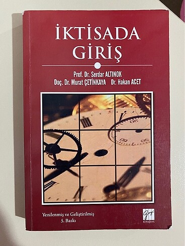 İktisatta giriş, Serdar Altınok