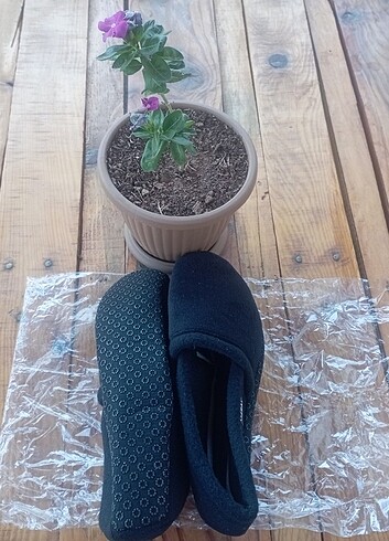 Kaymaz taban Ev patiği - Görsel 2