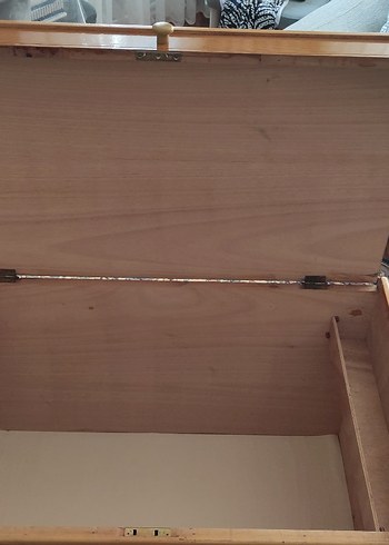 ÇİFT KİŞİLİK KOLTUK TAKIMI VE ÇEYİZ SANDIĞI - Görsel 7