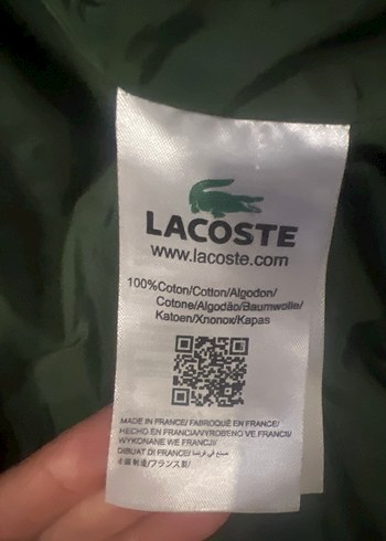 l Beden Lacoste Siyah Kapüşonlu Erkek Mont
