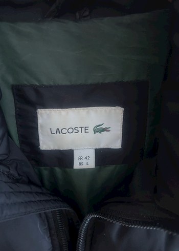 Lacoste Lacoste Siyah Kapüşonlu Erkek Mont