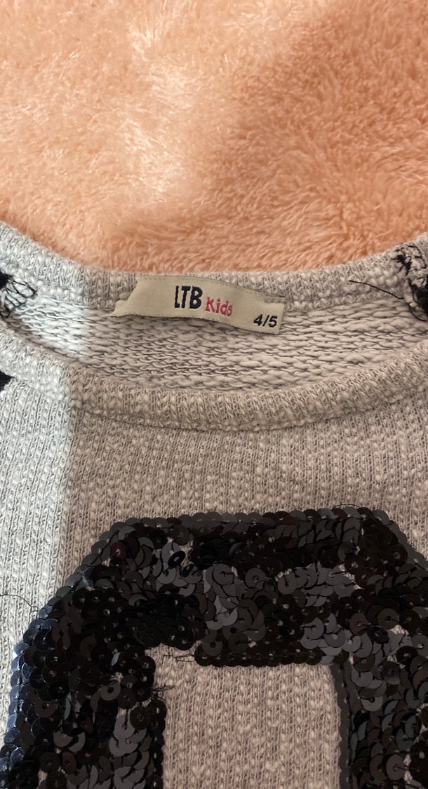 Kız Çocuk Gri Uzun Kollu Baskılı Sweatshirt - Görsel 2