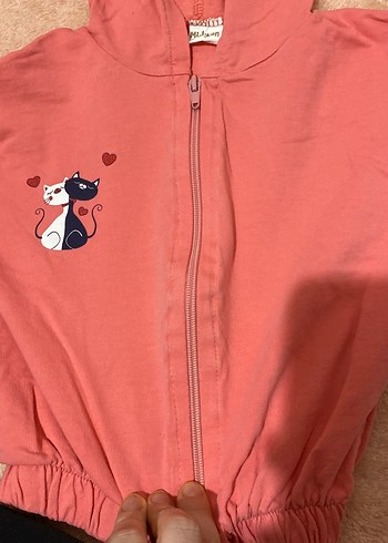 Kız Çocuk Pembe Kapüşonlu Fermuarlı Sweatshirt - Görsel 2