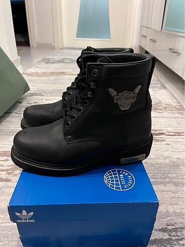 38 Beden Harley davidson bot