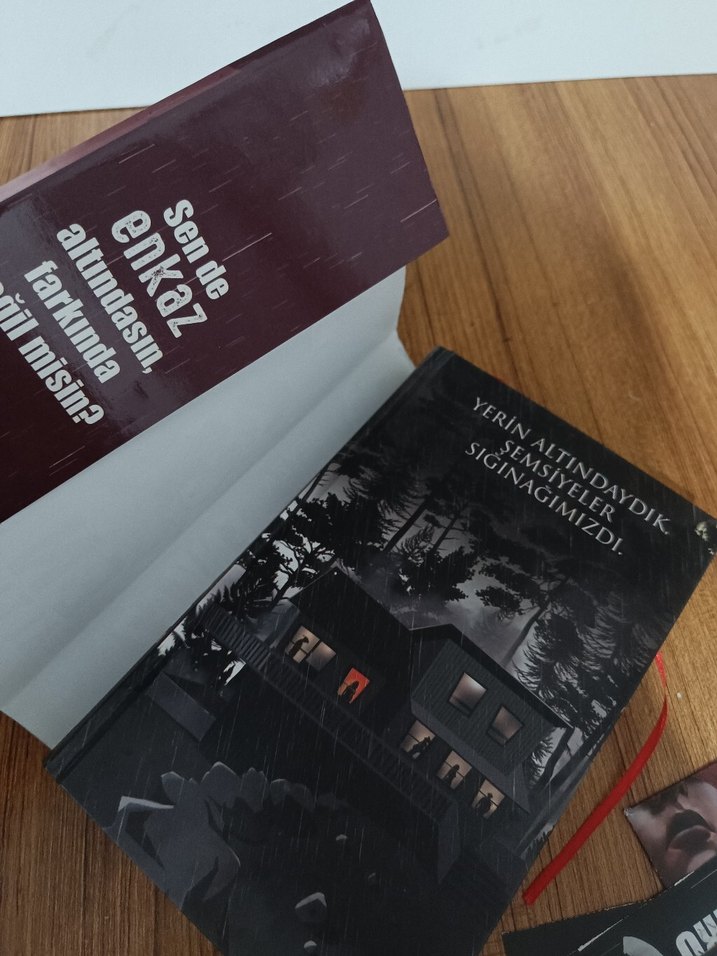 Enkaz Altındakiler - Beyza Alkoç - Görsel 2