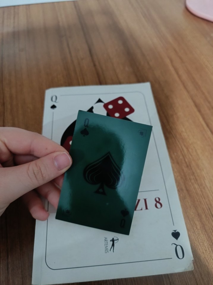 Maça Kızı 8 - Dilara Pamuk - Görsel 2