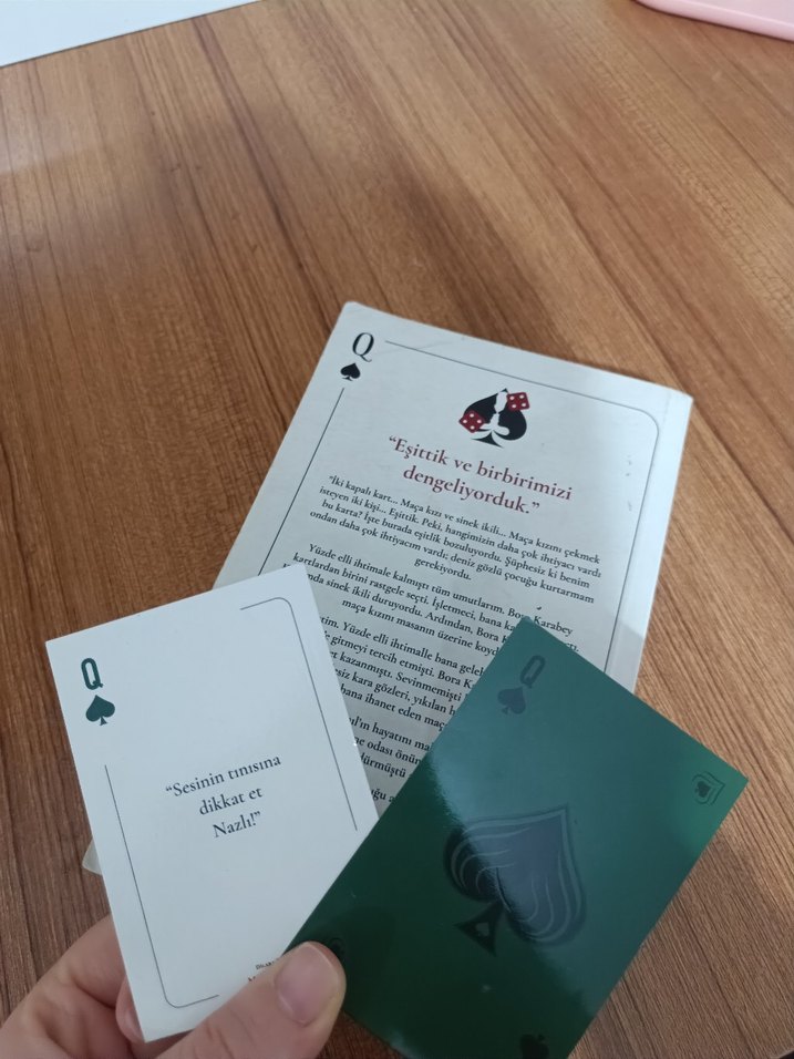 Maça Kızı 8 - Dilara Pamuk - Görsel 4