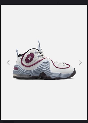 Nike Kadın Beyaz mor Spor Nike air penny rosewood