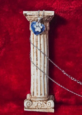 pati kolye paw paslanmaz çelik - Görsel 3