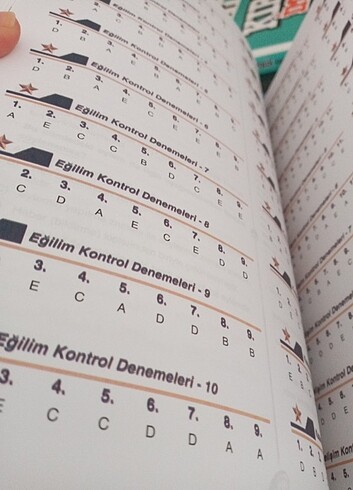  Beden Renk Dil bilgisi denemesi bilgi sarmal 