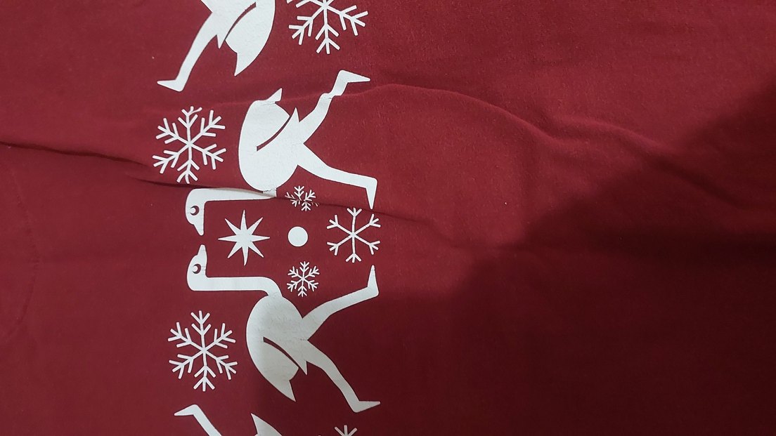 Kırmızı Baskılı Uzun Kollu Sweatshirt - Görsel 5