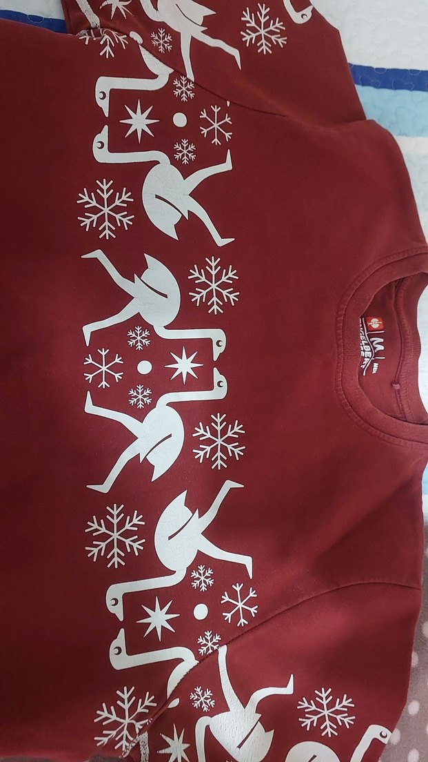 Kırmızı Baskılı Uzun Kollu Sweatshirt - Görsel 2