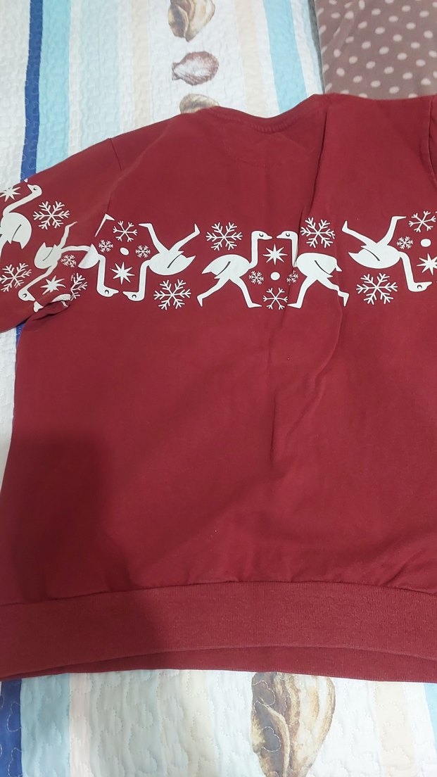 Kırmızı Baskılı Hamile Sweatshirt - Görsel 2