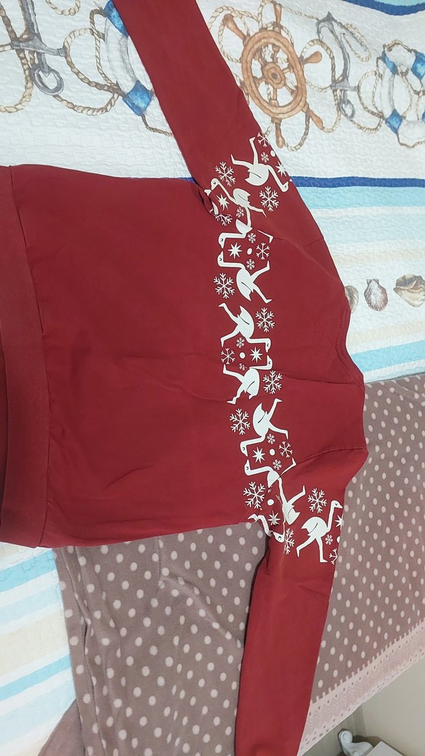 Kırmızı Baskılı Hamile Sweatshirt - Görsel 4