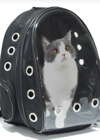 Beden Renk Gri Şeffaf Kedi Taşıma Sırt Çantası