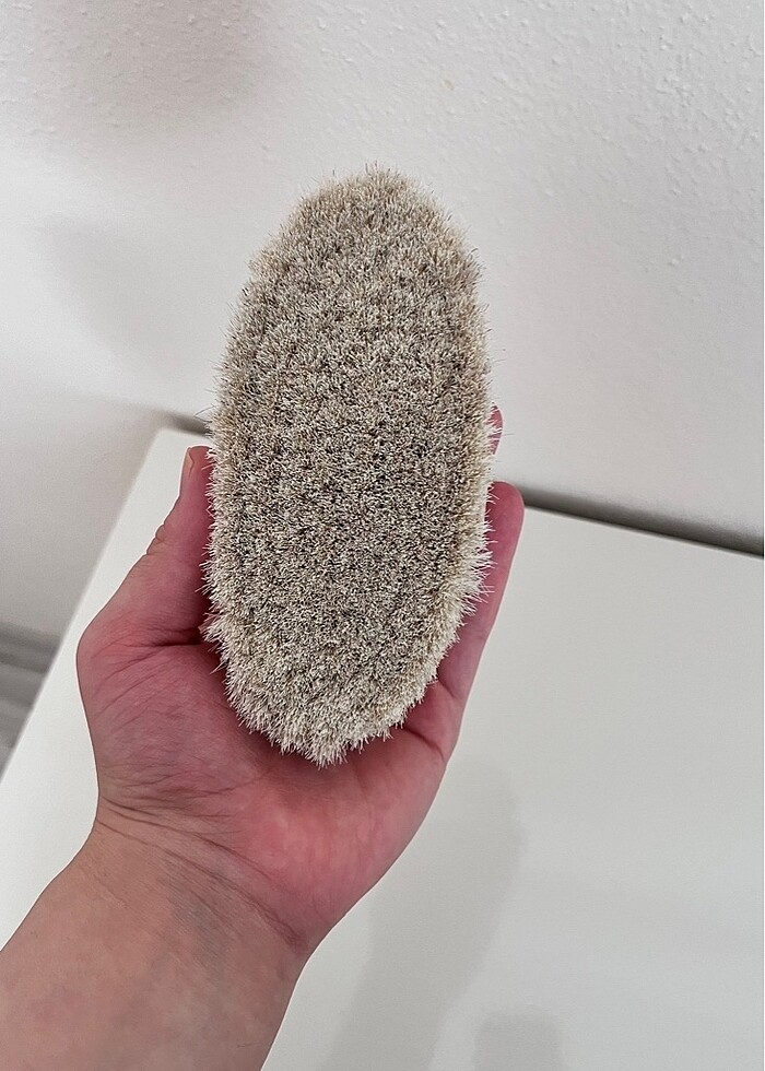 At kılı fırçası - Görsel 3