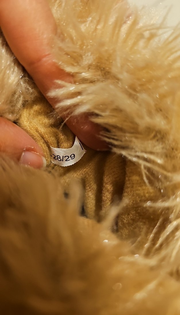 ev pandufu - Görsel 3