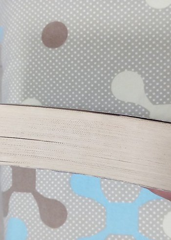 - Prof. Dr. Adnan Demircan - Görsel 2