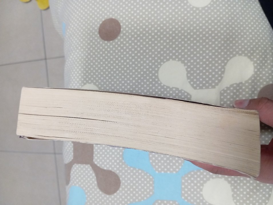 - Prof. Dr. Adnan Demircan - Görsel 2