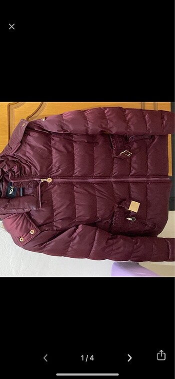 Diğer Bordo mont