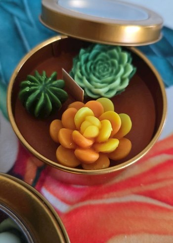 Renkli Sukulent Desenli Mum Seti - Görsel 3