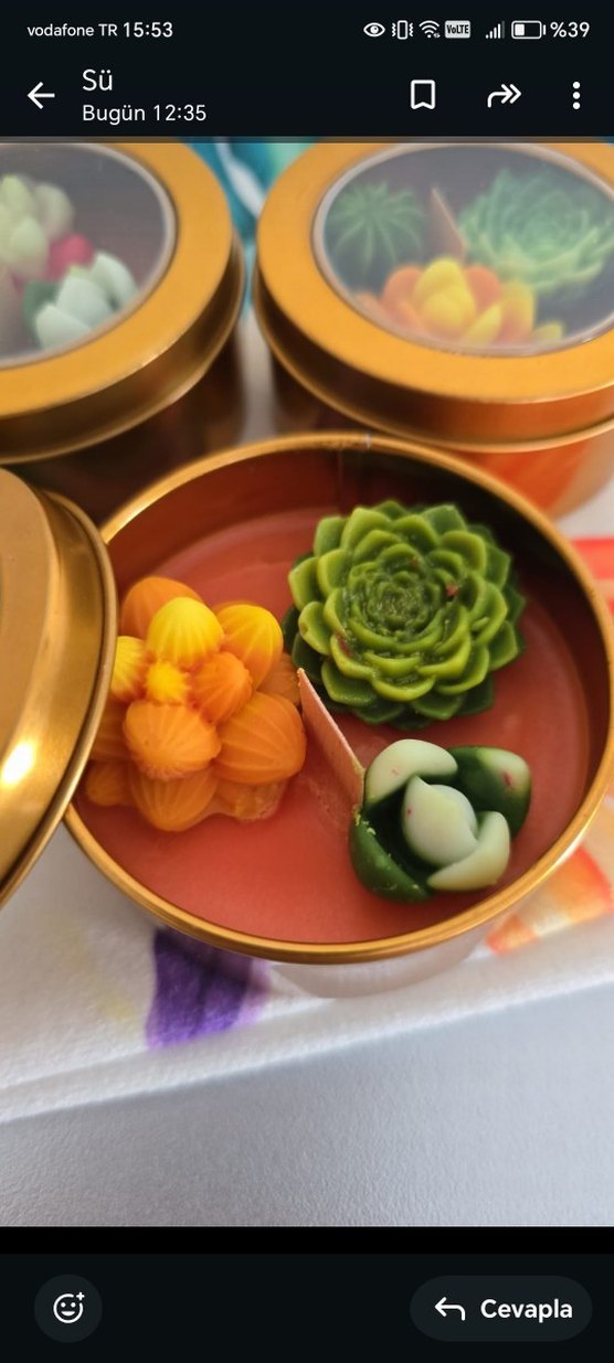 Renkli Sukulent Desenli Mum Seti - Görsel 2