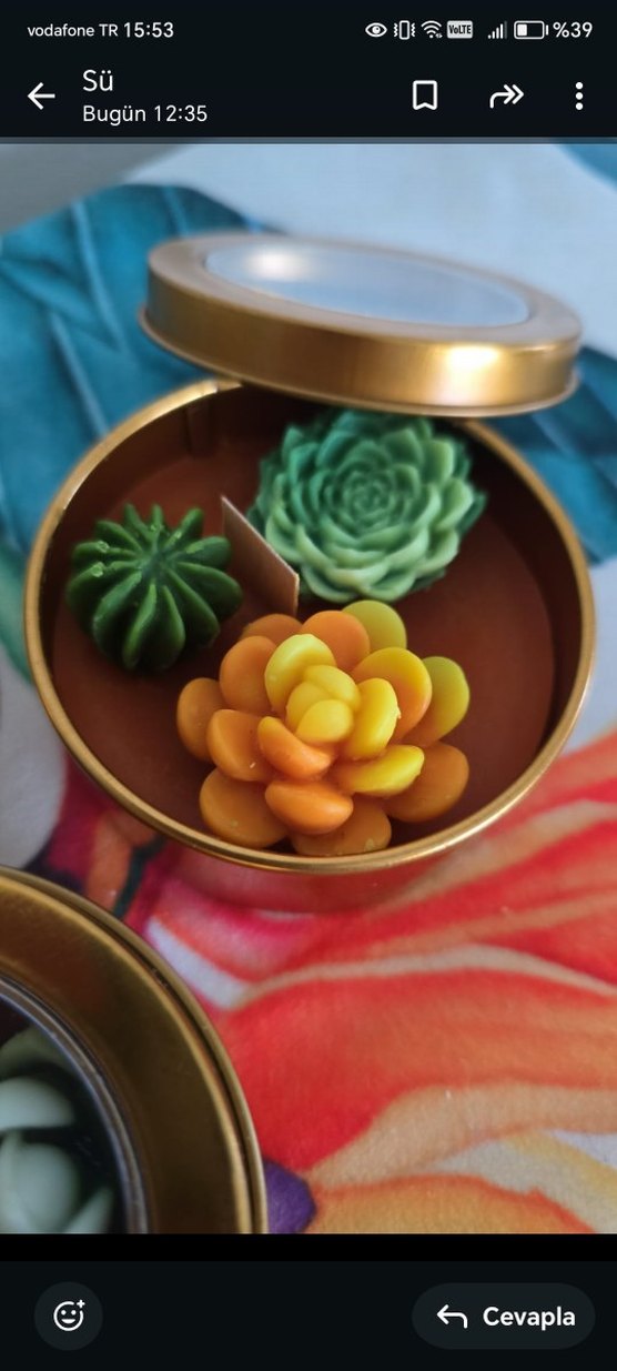 Renkli Sukulent Desenli Mum Seti - Görsel 3