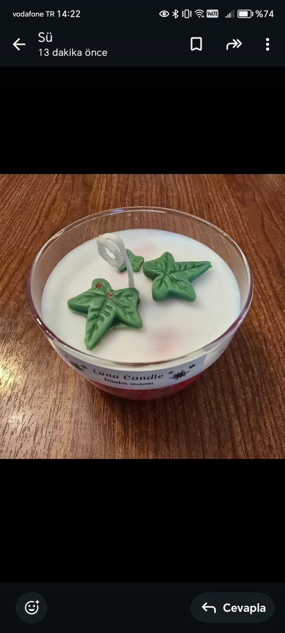 Luna Kış Temalı Mum - Görsel 2