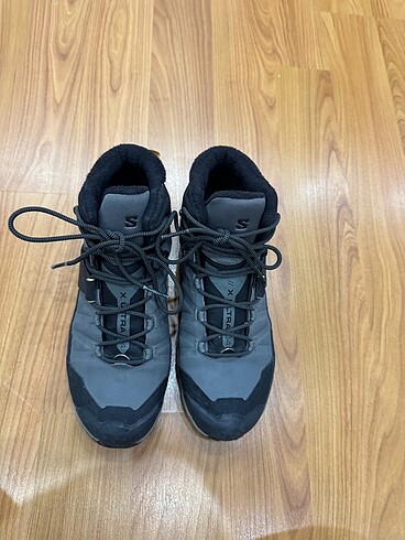 Salomon Salomon bot