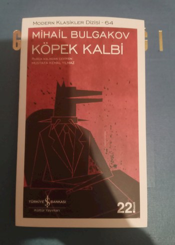 Çeşitli Romanlar - Görsel 16