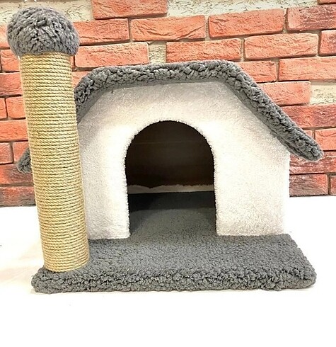  Kedi Yatağı