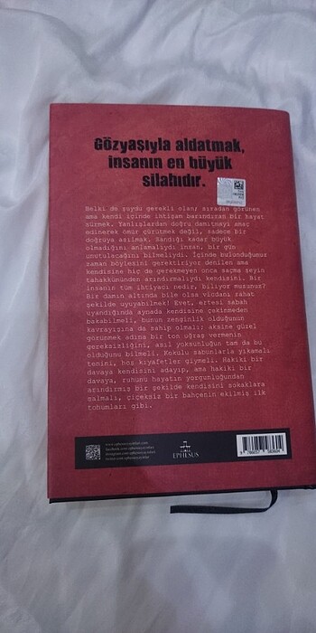 Beden Renk Sadece Köpekler Farkında
