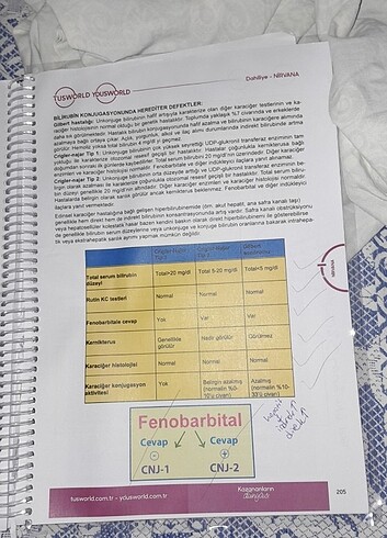 Beden Tusworld nirvana konu kitapları