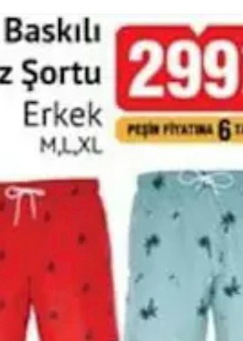 Erkek Deniz Şortu - Görsel 8
