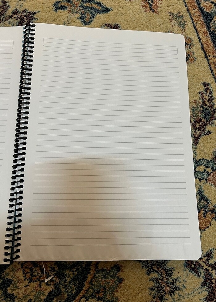 Çizgili A4 Spiralli Defter - Görsel 4