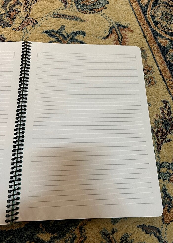 Çizgili A4 Spiralli Defter - Görsel 4