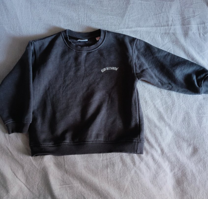 Gri Baskılı Erkek Çocuk Sweatshirt - Görsel 4