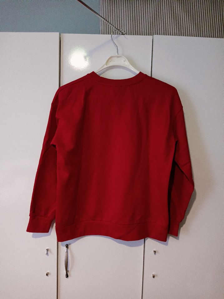 Kırmızı Baskılı Erkek Sweatshirt - Görsel 2